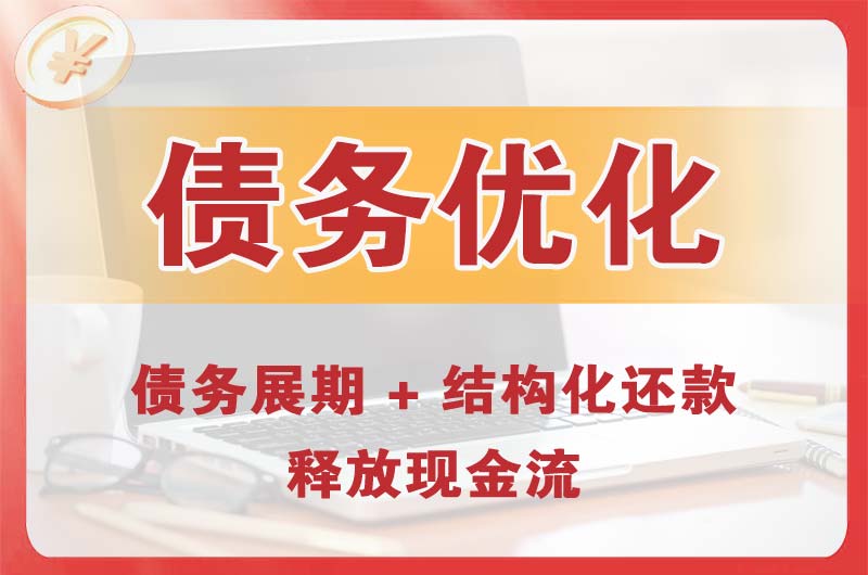 六安债务优化