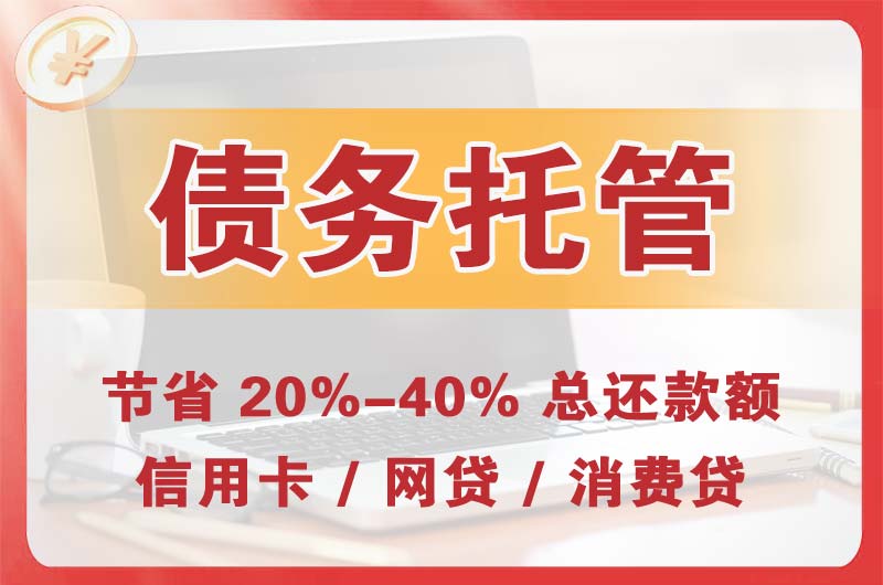 六安债务托管